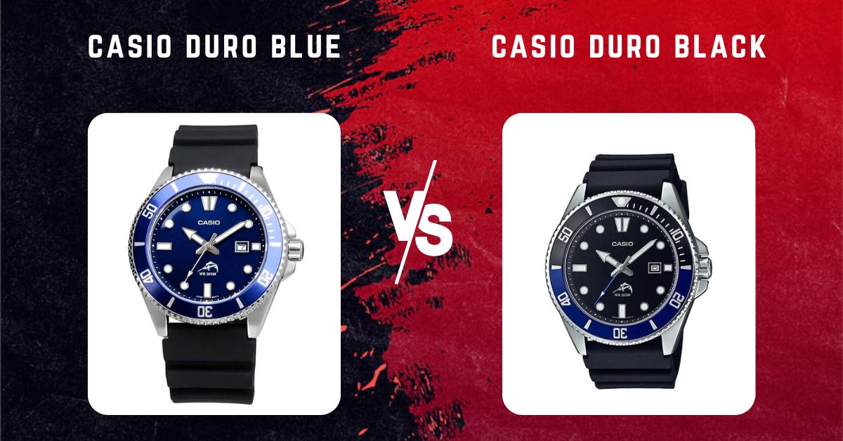 casio duro blue vs casio duro black